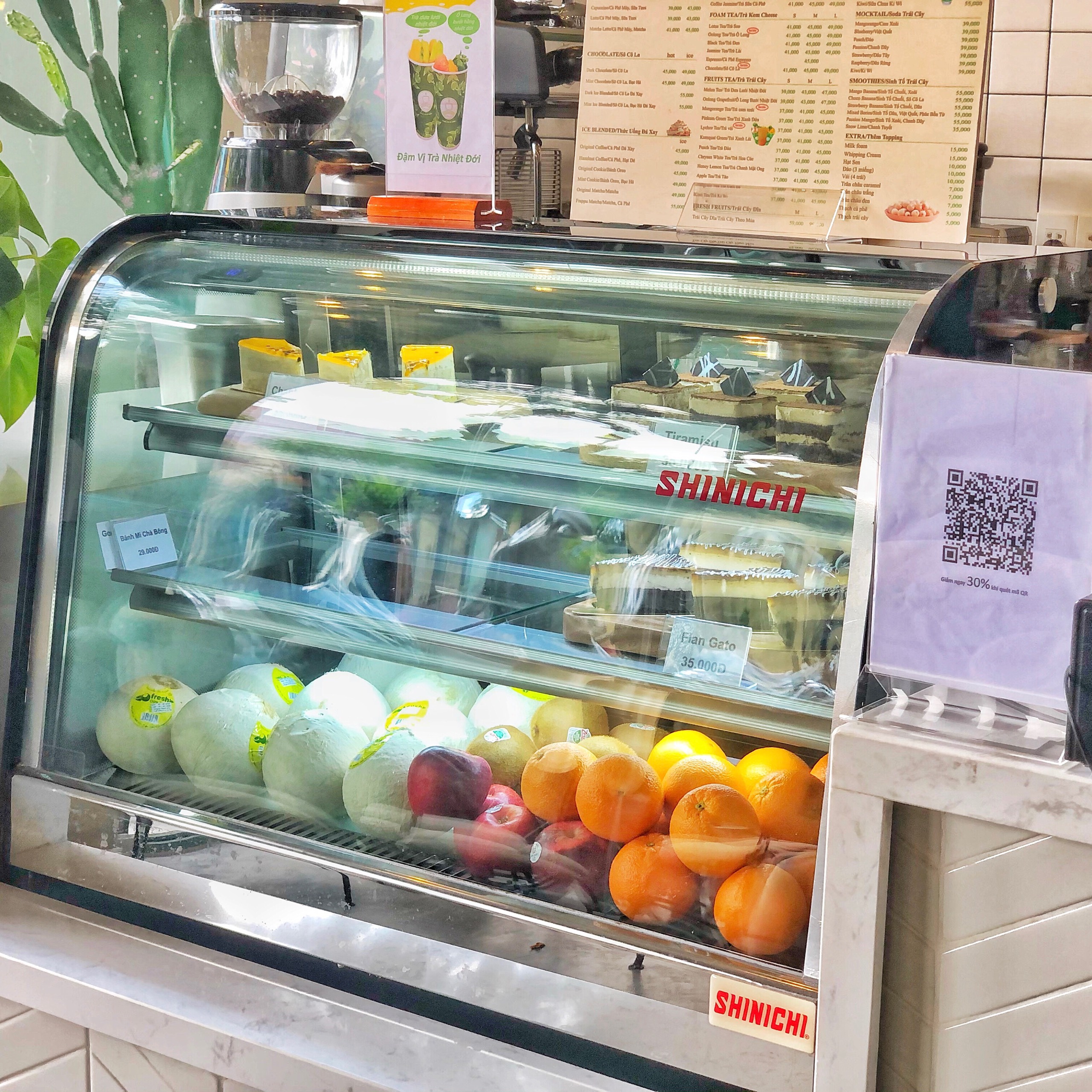 LÝ DO TẠI SAO TỦ BÁNH KEM SHINICHI LÀ SỰ LỰA CHỌN HÀNG ĐẦU CỦA NHIỀU THƯƠNG HIỆU LỚN?